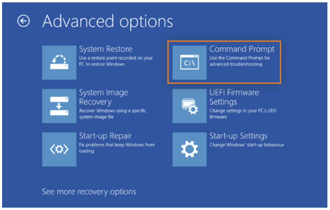 Select Advanced Options and click Command Prompt